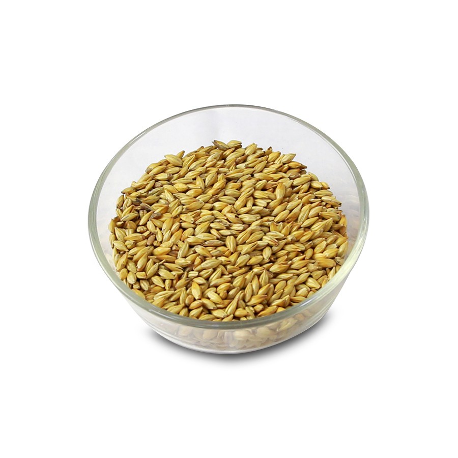 Malt nấu bia Carared Malt