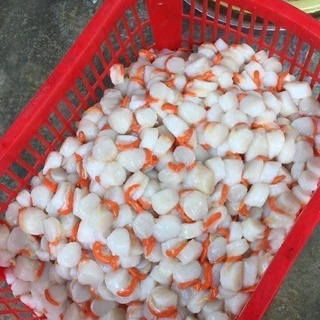 [ PHÚ NHUẬN] CÒI SÒ ĐIỆP TRỨNG 500GR