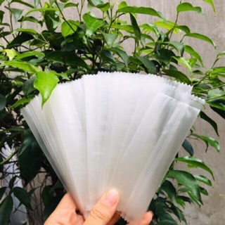 Combo 10 túi đựng kẹo mút cho bé