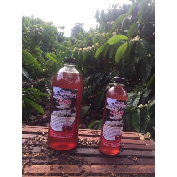 1 Mật ong Nguyên Chất Núi Rừng Tây Nguyên combo 2chai 500ml | BigBuy360 - bigbuy360.vn