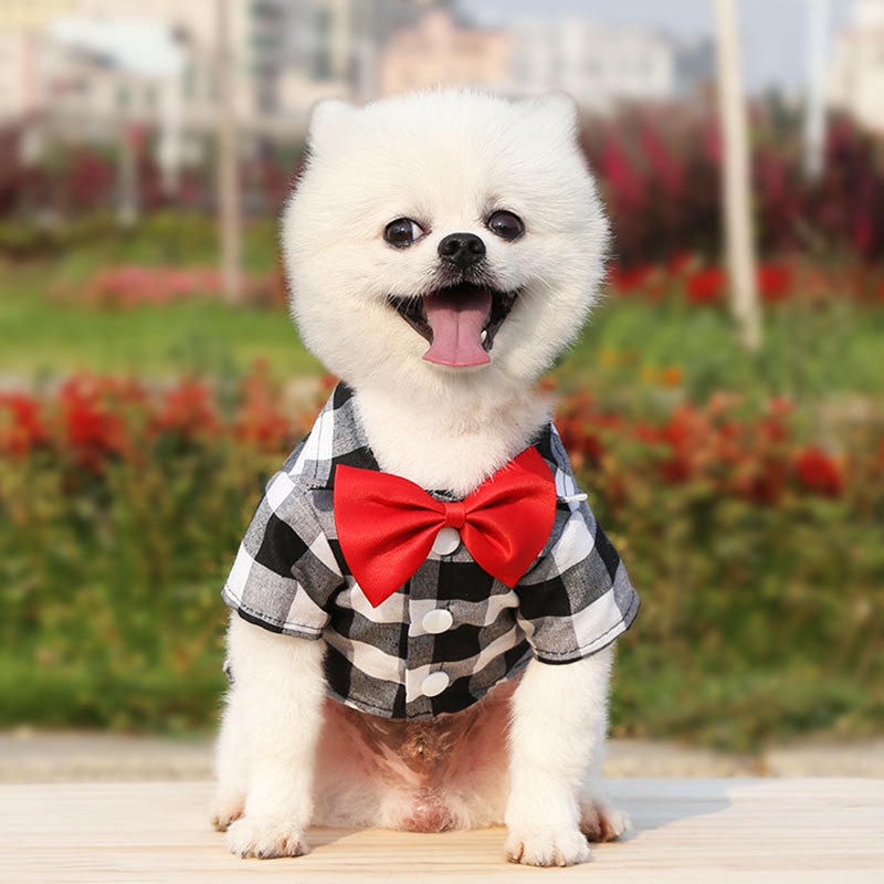 Áo Cho Thú Cưng Cỡ Nhỏ / Trung BìNh / VừA