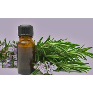 TINH DẦU XẠ HƯƠNG (10ML)