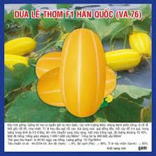 HẠT GIỐNG DƯA LÊ THƠM HÀN QUỐC F1 GÓI 10 HẠT