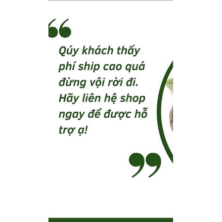 500gram nhân quả óc chó nếp rừng sạch tự nhiên