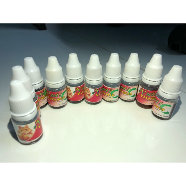 Vitamin C cho hamster.