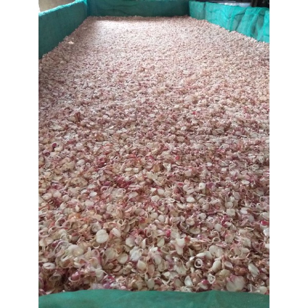 Hành ta thái lát sấy khô đóng gói quy cách  500g/gói