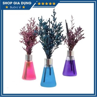 Nước Hoa Thơm Để Phòng, Bàn Làm Việc Kèm Hoa Khô Trang Trí Siêu Sang Chảnh