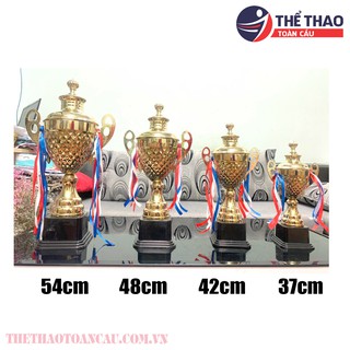 cúp kim loại TC501D