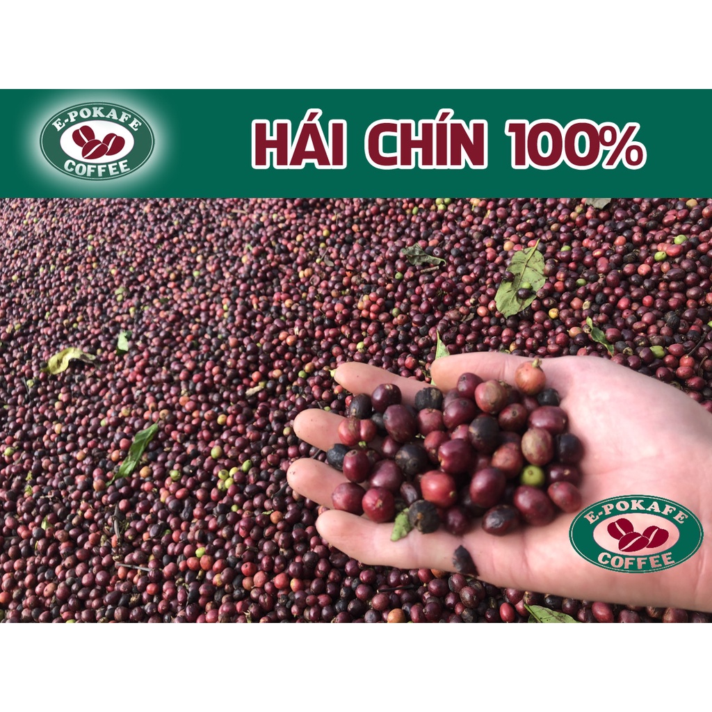 Cafe Robusta ĐắkLắk rang xay nguyên chất 100% vị truyền thống đậm đà thơm nồng dùng pha máy, pha phin từ E-POKAFE | BigBuy360 - bigbuy360.vn