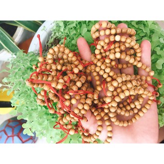 Vòng Dâu Tằm - Hàng chuẩn