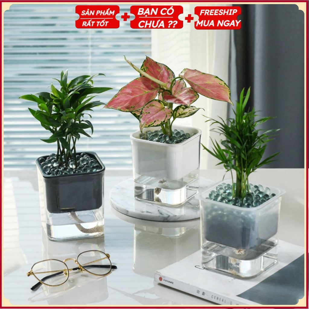 PVN40059 Lọ trồng hoa tự dưỡng .