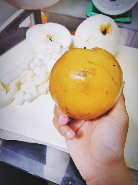 TẮC CHƯNG LÊ  _