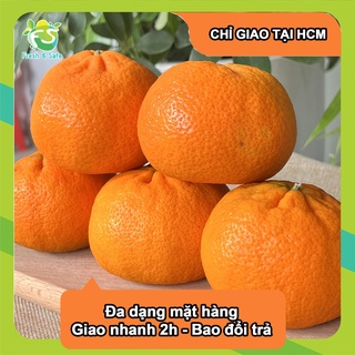 [Chỉ Giao HCM] Quýt Ai Cập