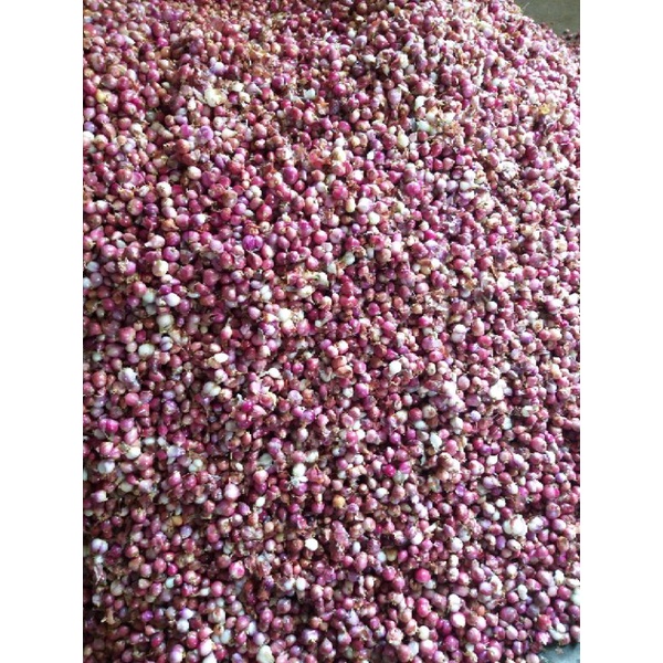 Hành ta thái lát sấy khô đóng gói quy cách  500g/gói