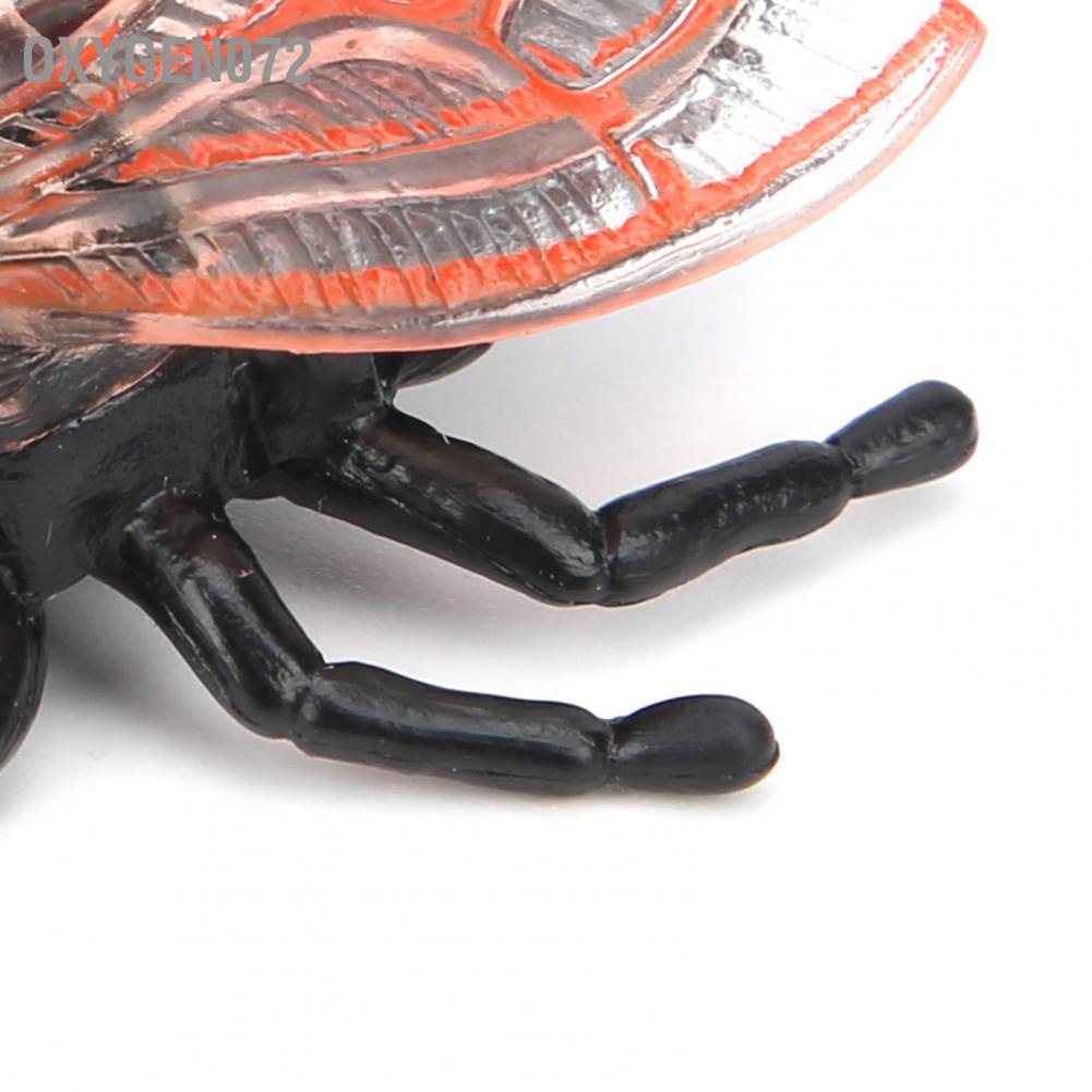 Oxygen072 Cicada Insect Model Highly Simulation Children Kids Ornament Decoration