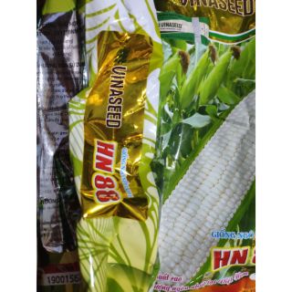 HẠT GIỐNG NGÔ NẾP LAI F1 H88 500g