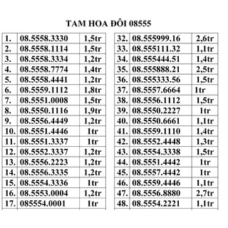 Sim tam hoa đôi vinaphone