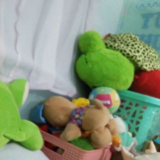 Gấu bông của ngân trịnh