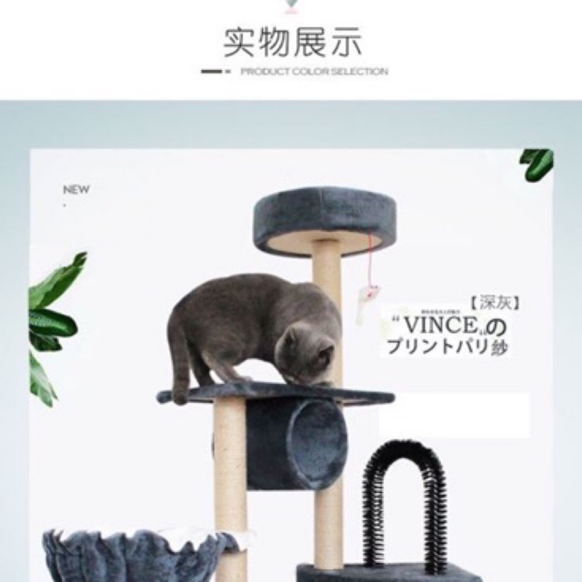 Nhà cho mèo
