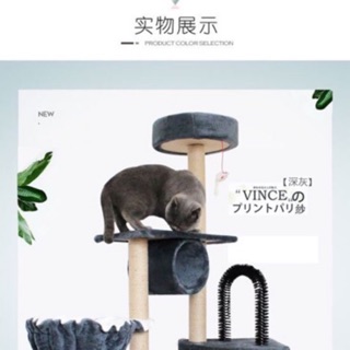 Nhà cho mèo