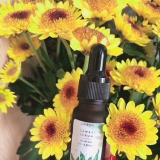 Serum Tảo Biển soHERBs 10ml