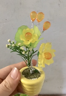 10 chậu hoa đá pha lê