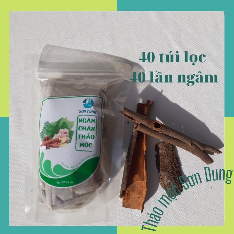 NGÂM CHÂN THẢO DƯỢC THẢI ĐỘC THẢO MỘC SƠN DUNG, combo 02 bịch (40 túi lọc),NC2