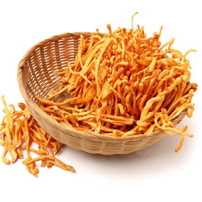 Bông Đông Trùng Hạ Thảo khô- Dùng pha trà, nấu canh, tiềm canh bồi bổ sức khoẻ
