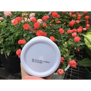 Hấp dầu Hoa Sen 1000ml mượt tóc