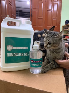 [Giá tốt nhất] GEL RỬA TAY KHÔ 500ml