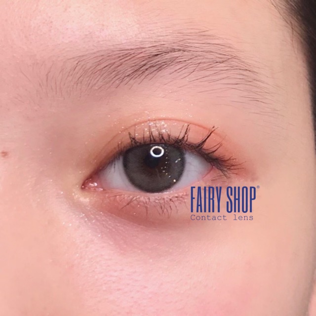 Kính Áp Tròng Cao Cấp Bassia Gray Lens 14.0mm - Kính Áp Tròng FAIRY SHOP CONTACT LENS độ 0 đến 6