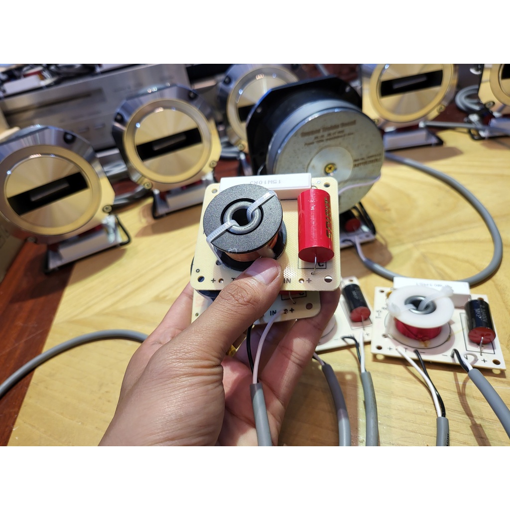 Mạch phân tần loa trép T3 và T5, Hàn sẵn dây, Giá 1 Đôi