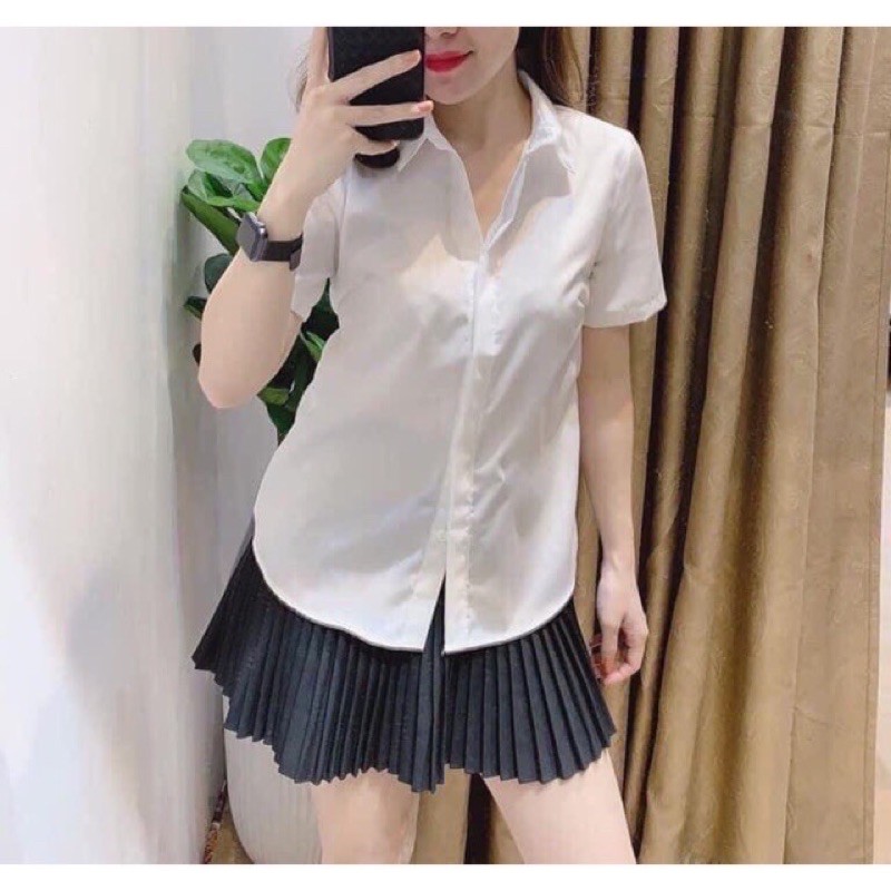 ⚡️SƠ MI CÔNG SỞ⚡️Áo Sơ mi công sở cộc tay