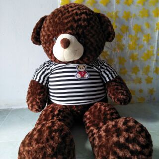 Gấu Bông size 40cm đến 1m8