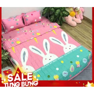 Set 1 drap giường 2 vò gối nằm mẫu màu hồng 1M2/1M4/1M6/1M8
