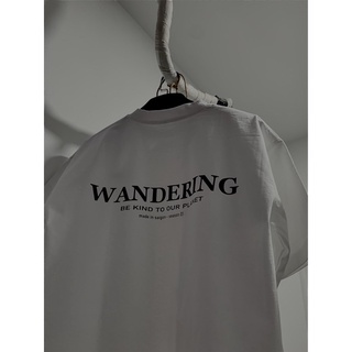 áo Wandering basic tee 01