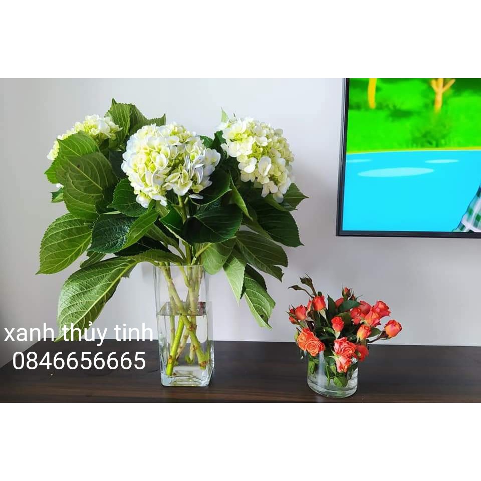 Lọ thủy tinh vuông - trụ ống VUÔNG cắm hoa, nuôi cá, thủy sinh 10x25/30/35/40cm