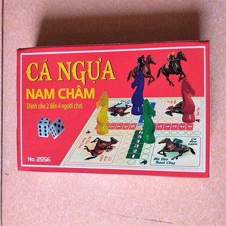 Bộ Cờ Cá Ngựa Nam Châm