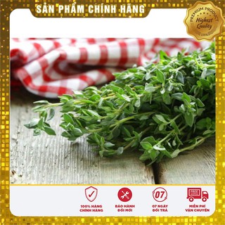 Hạt giống Rau Húng tây ( gia vị ngon TỐT Gói 1 gram )