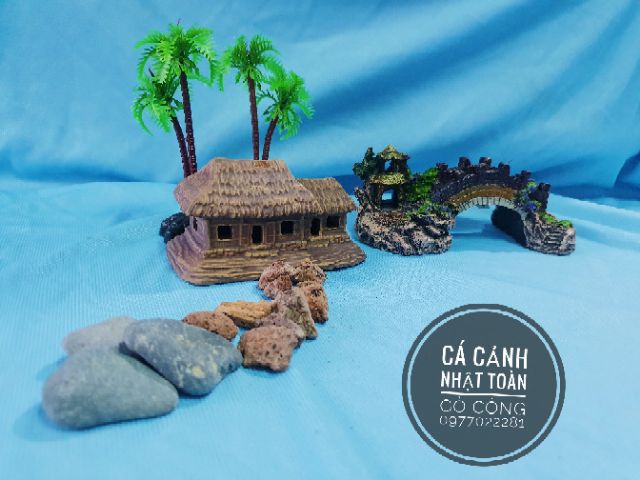 COMBO TRANG TRÍ HỒ CÁ NON BỘ 160K