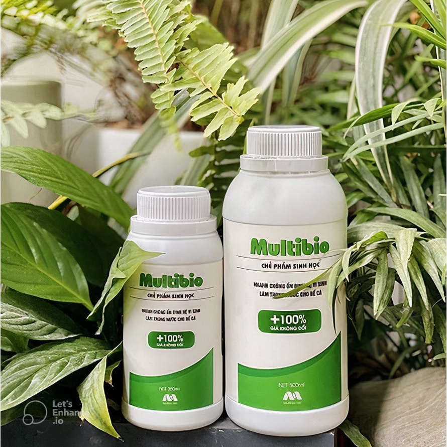 Men vi sinh MultiBio - xử lý độc tố, làm trong nước và khử mùi hôi tanh