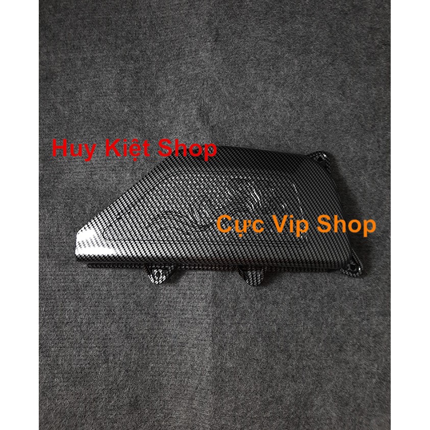 Chụp Pô E Lead 2017 - 2019 Carbon Cao Cấp 2046