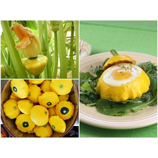 Hạt giống bí đỏ các loại, dễ trồng, ăn ngon - gói 2g, 5g