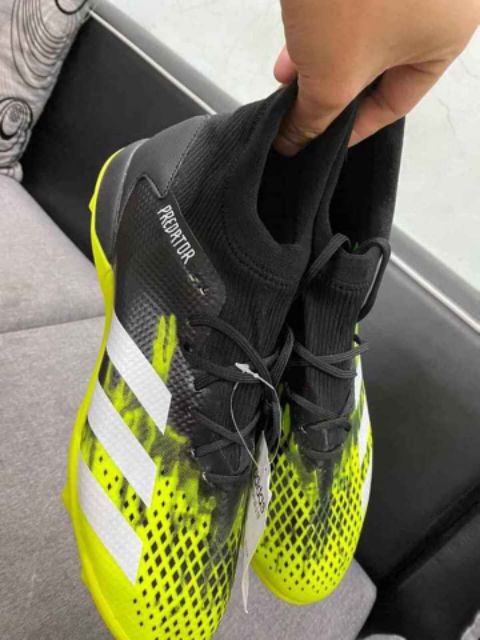 Giày đá bóng predator 2020