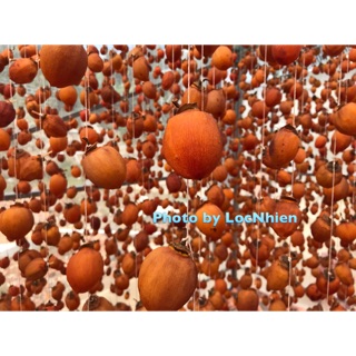 Hồng sấy gió Đà Lạt - Lộc Nhiên
