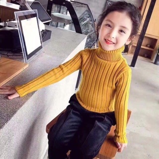 Combo áo len bích ngọc hà