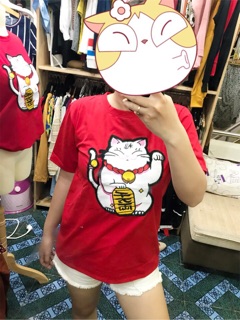 Áo Thun Mèo + Hàng Thêu Hình Thật + Clip