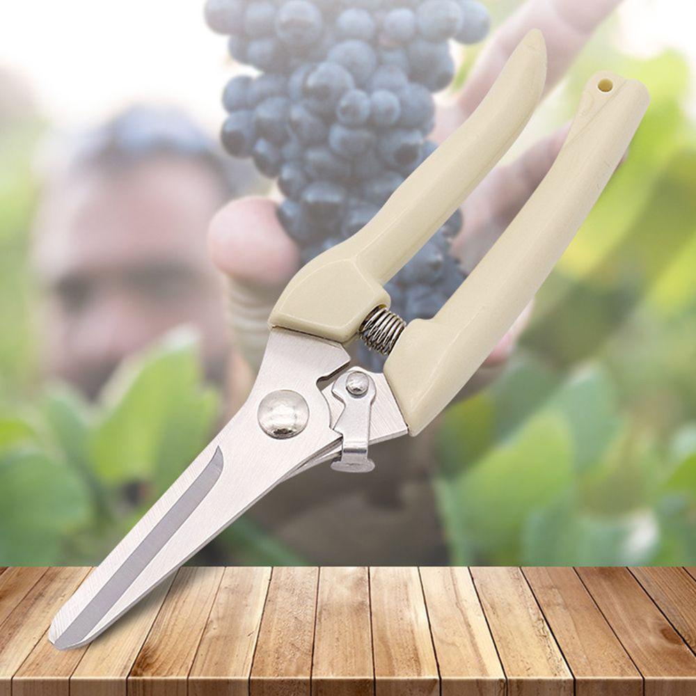 Kéo Cắt Tỉa Cành Cây Sân Vườn Siêu Bền Tiện Dụng