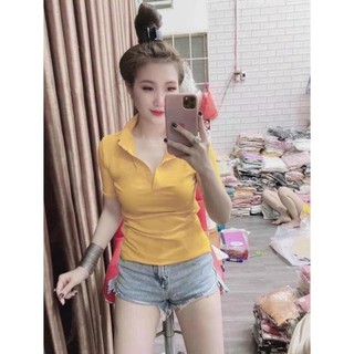 Hottrent Hang HOT Áo trơn cổ