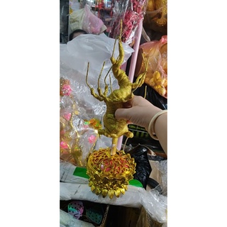 Bộ thân bonsai và đế cây cành vàng lá ngọc hoa mai bonsai